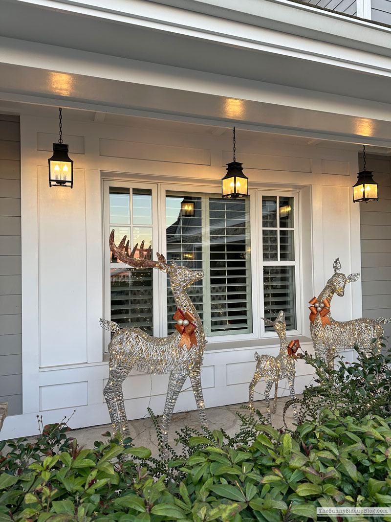 Kitchen Styling (Sunny Lifestyles)