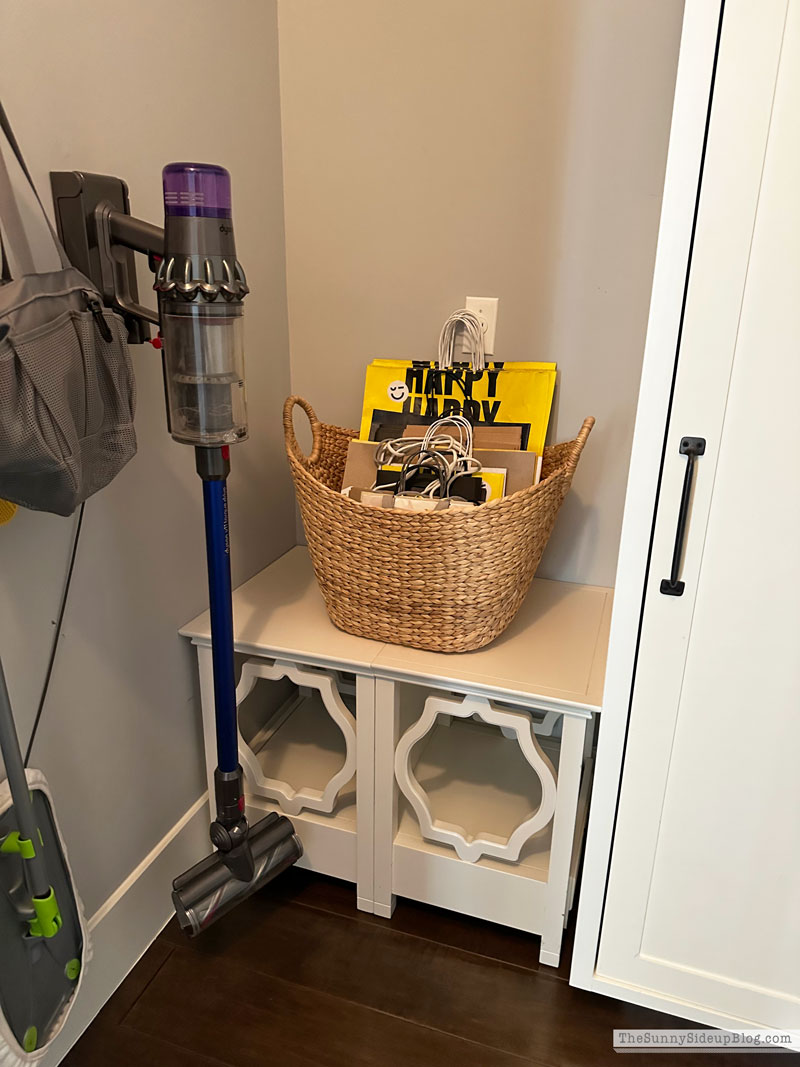 Organized Cleaning Closet (Sunny Lifestyles)