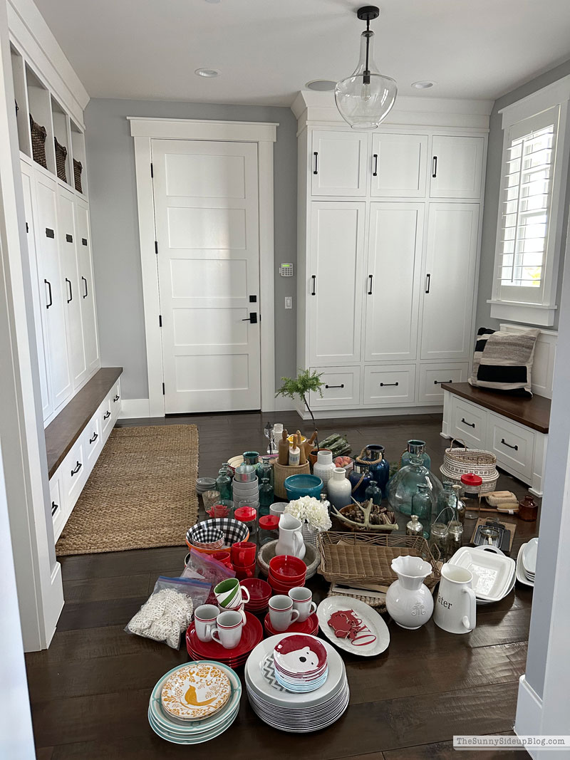 Organized Decor Closet (Sunny Lifestyles)