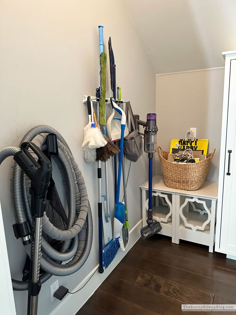 Organized Cleaning Closet (Sunny Lifestyles)