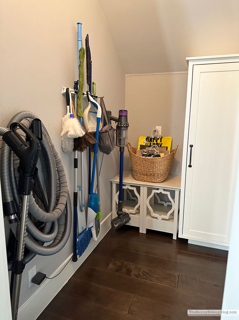 Organized Cleaning Closet (Sunny Lifestyles)