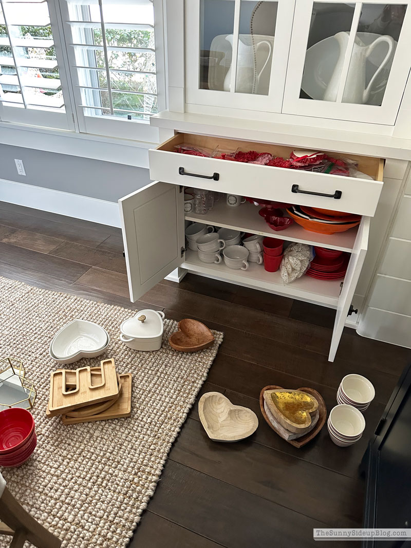 Organized Decor Closet (Sunny Lifestyles)