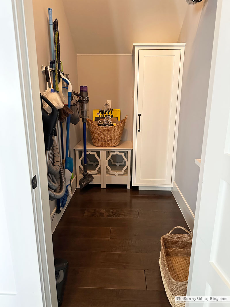 Organized Cleaning Closet (Sunny Lifestyles)