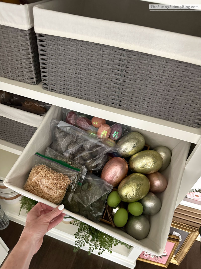 Organized Decor Closet (Sunny Lifestyles)