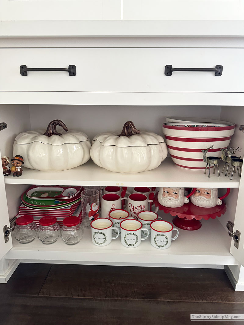 Organized Decor Closet (Sunny Lifestyles)