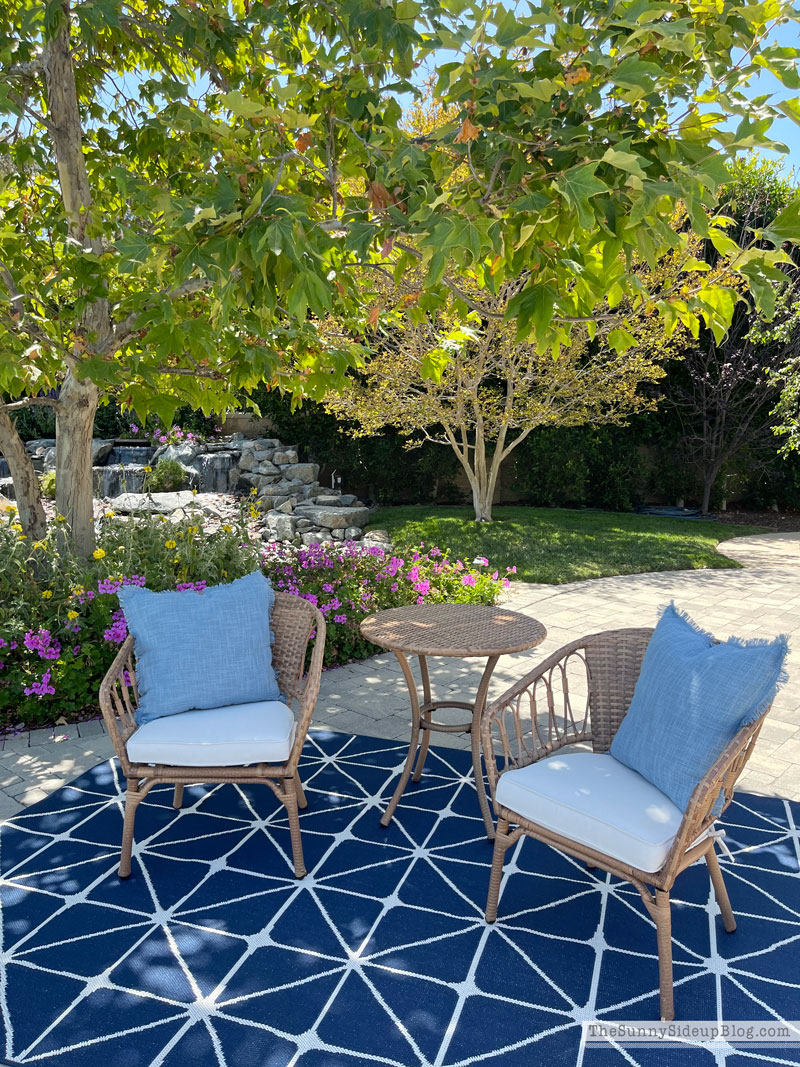 Outdoor Favorites (Sunny Lifestyles)