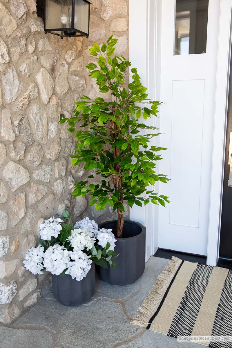 Summer Porch (Sunny Lifestyles)