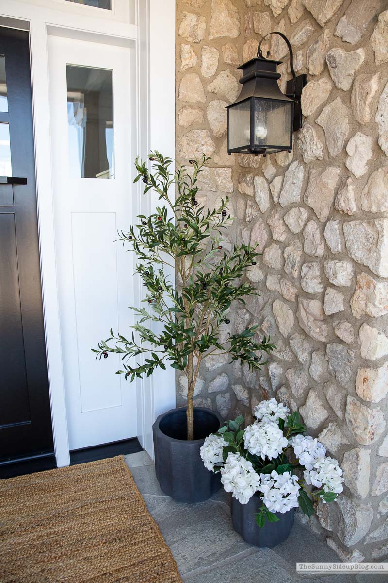 Summer Porch (Sunny Lifestyles)