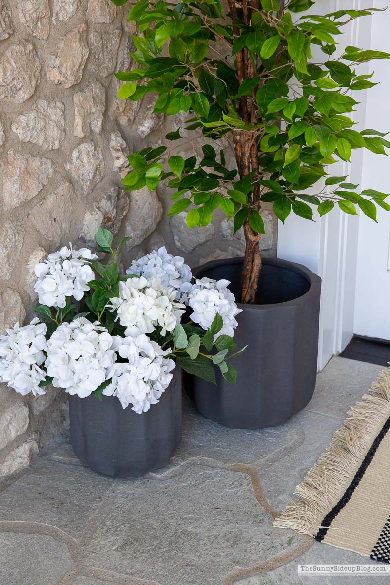 Summer Porch (Sunny Lifestyles)