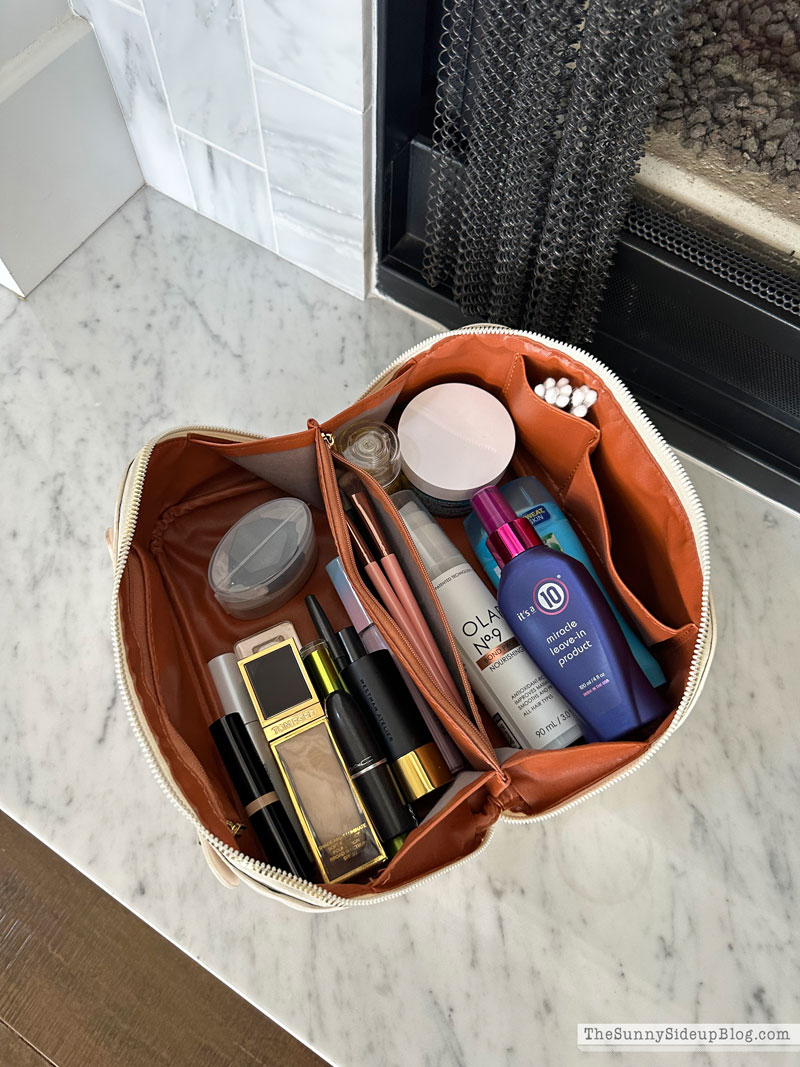 Travel Make Up Bag (Sunny Lifestyles)