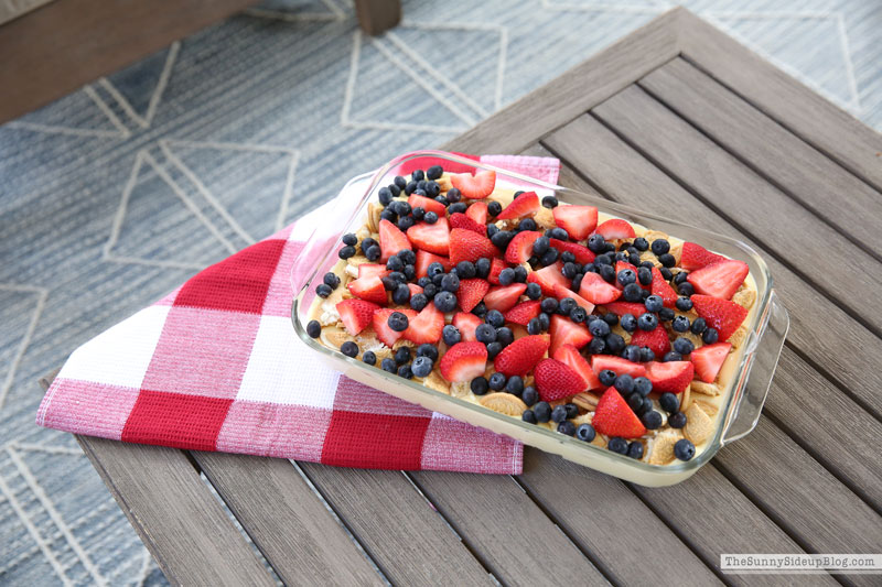 4th of July Dessert (Sunny Lifestyles)