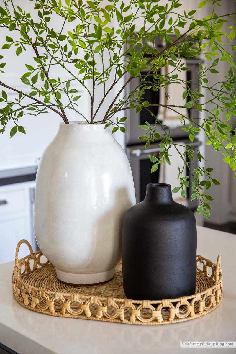 Amazon Faux Branches (Sunny Lifestyles)