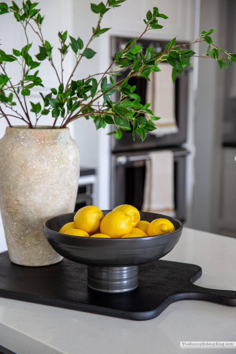 Amazon Faux Branches (Sunny Lifestyles)