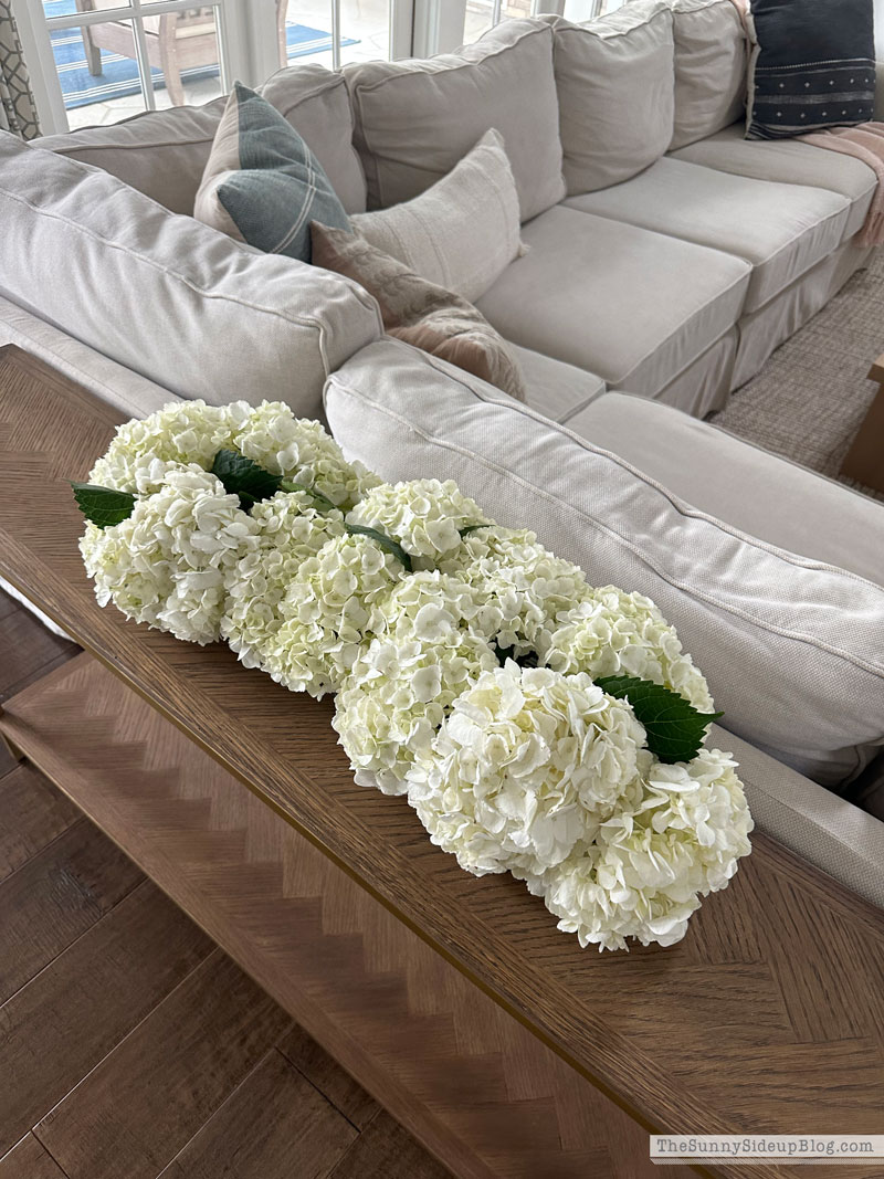 Hydrangea Centerpiece (Sunny Lifestyles)