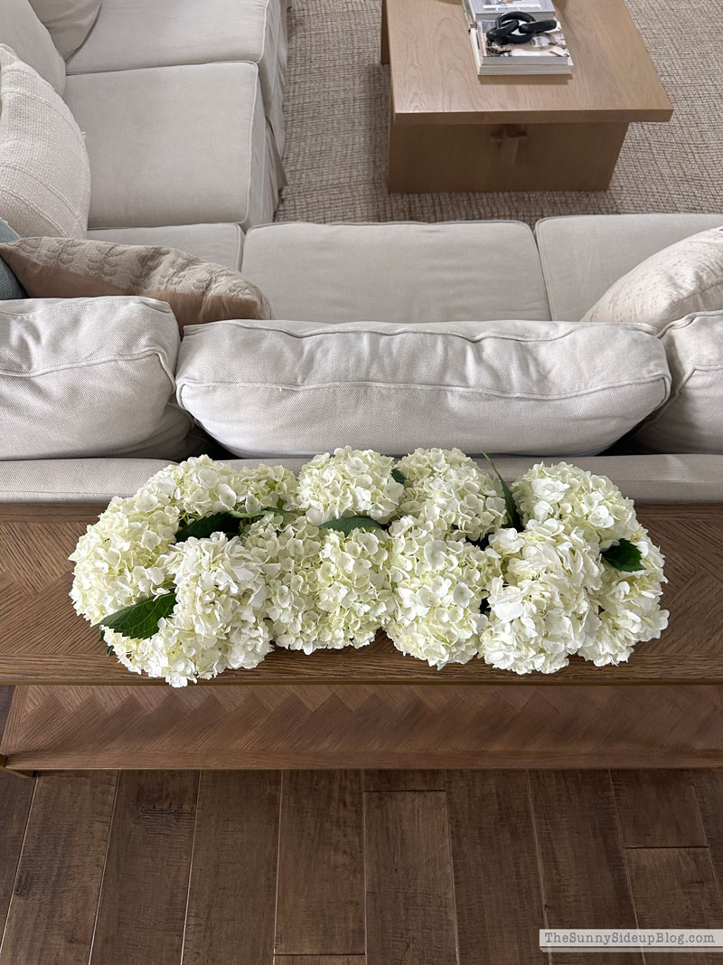 Hydrangea Centerpiece (Sunny Lifestyles)