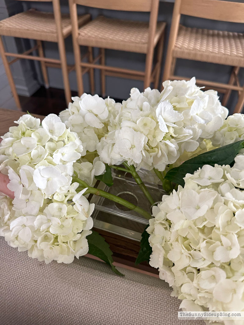 Hydrangea Centerpiece (Sunny Lifestyles)