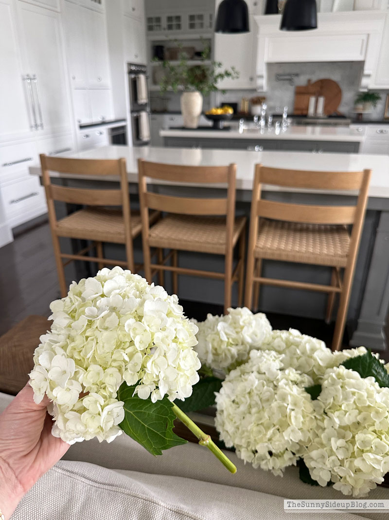 Hydrangea Centerpiece (Sunny Lifestyles)