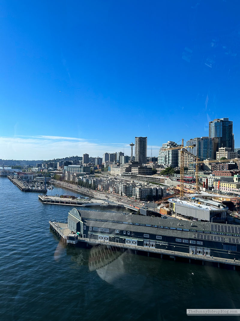 Seattle (Sunny Lifestyles)