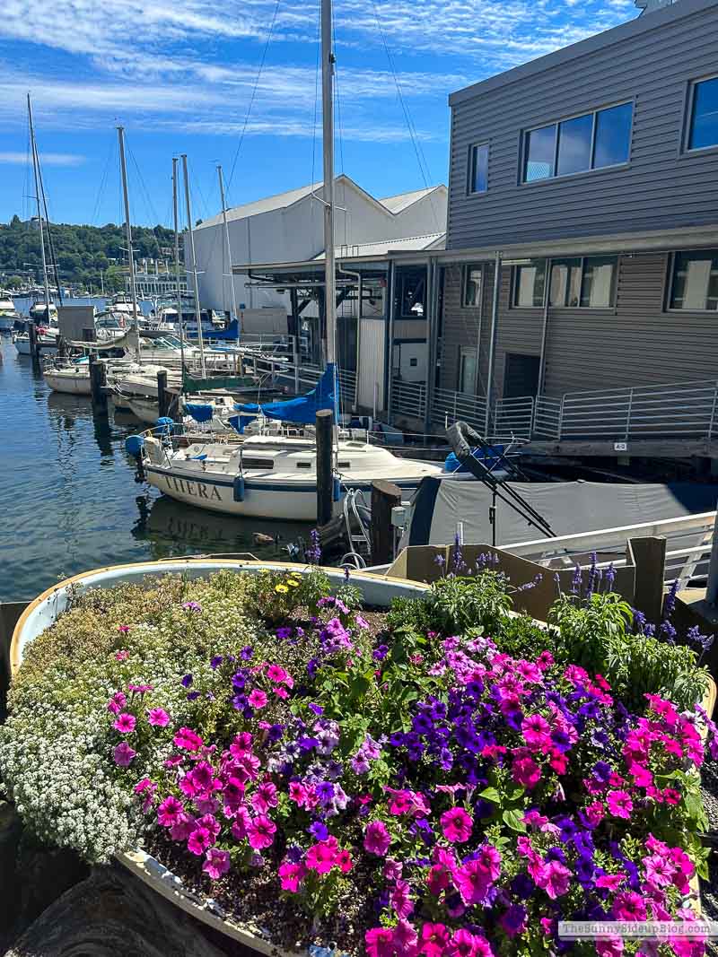 Seattle (Sunny Lifestyles)