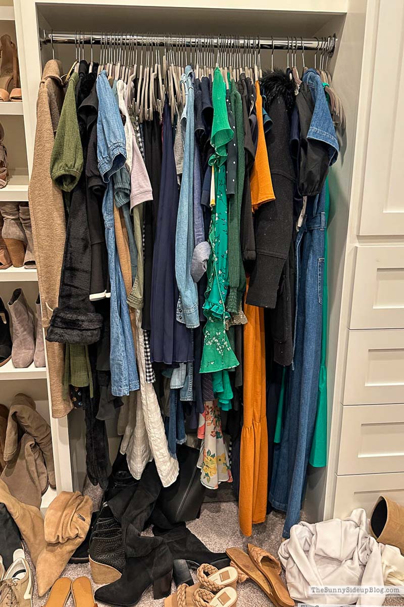 Shoe Organization (Sunny Lifestyles)