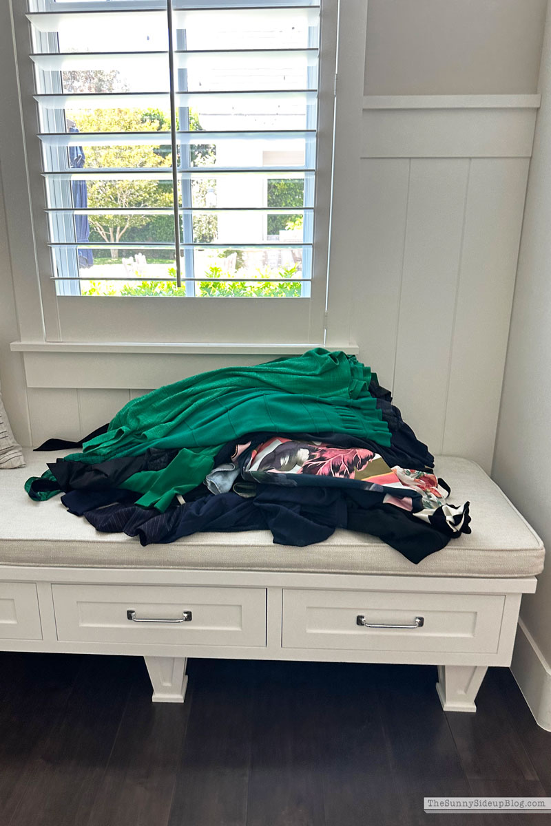 Organized Closet Progress (Sunny Lifestyles)
