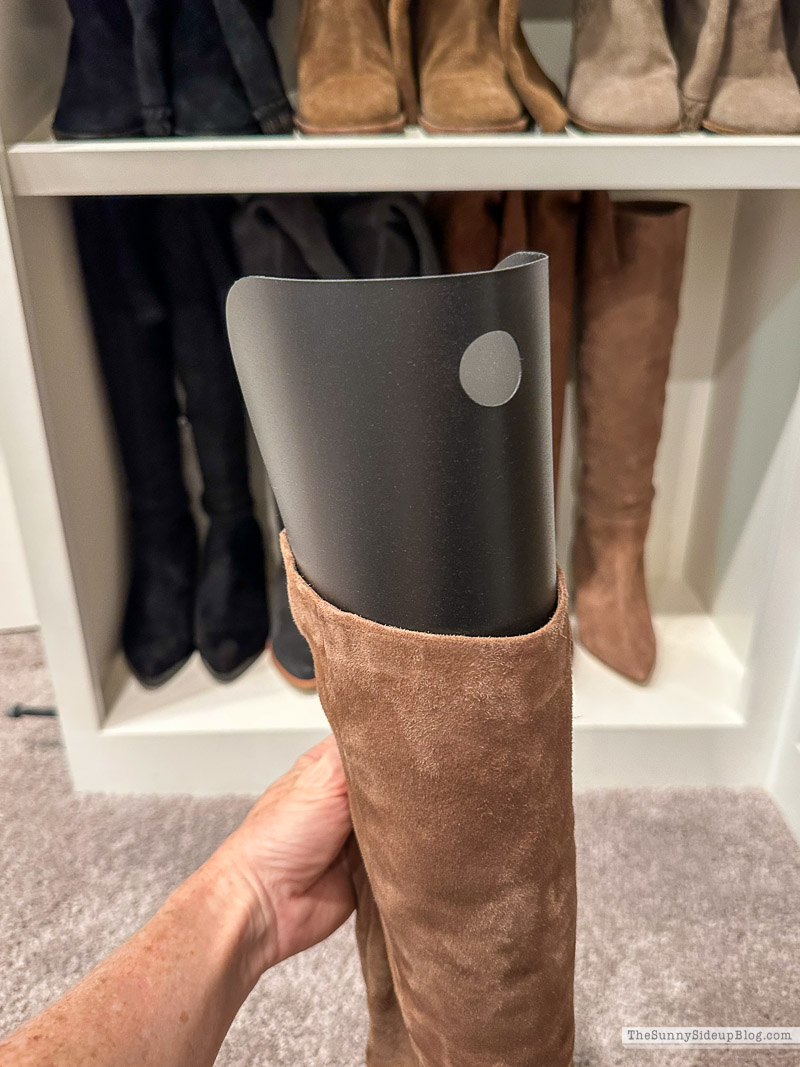 Shoe Organization (Sunny Lifestyles)