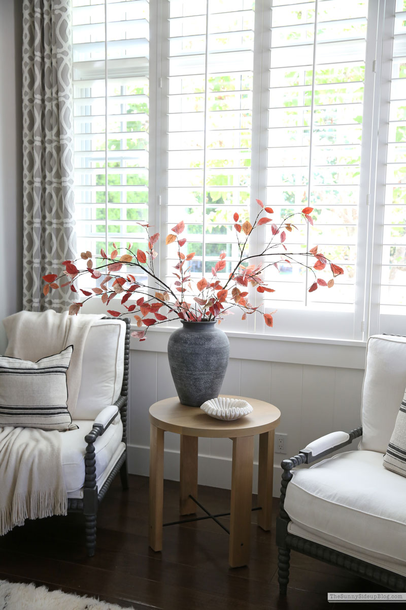 Master Bedroom Fall (Sunny Lifestyles)