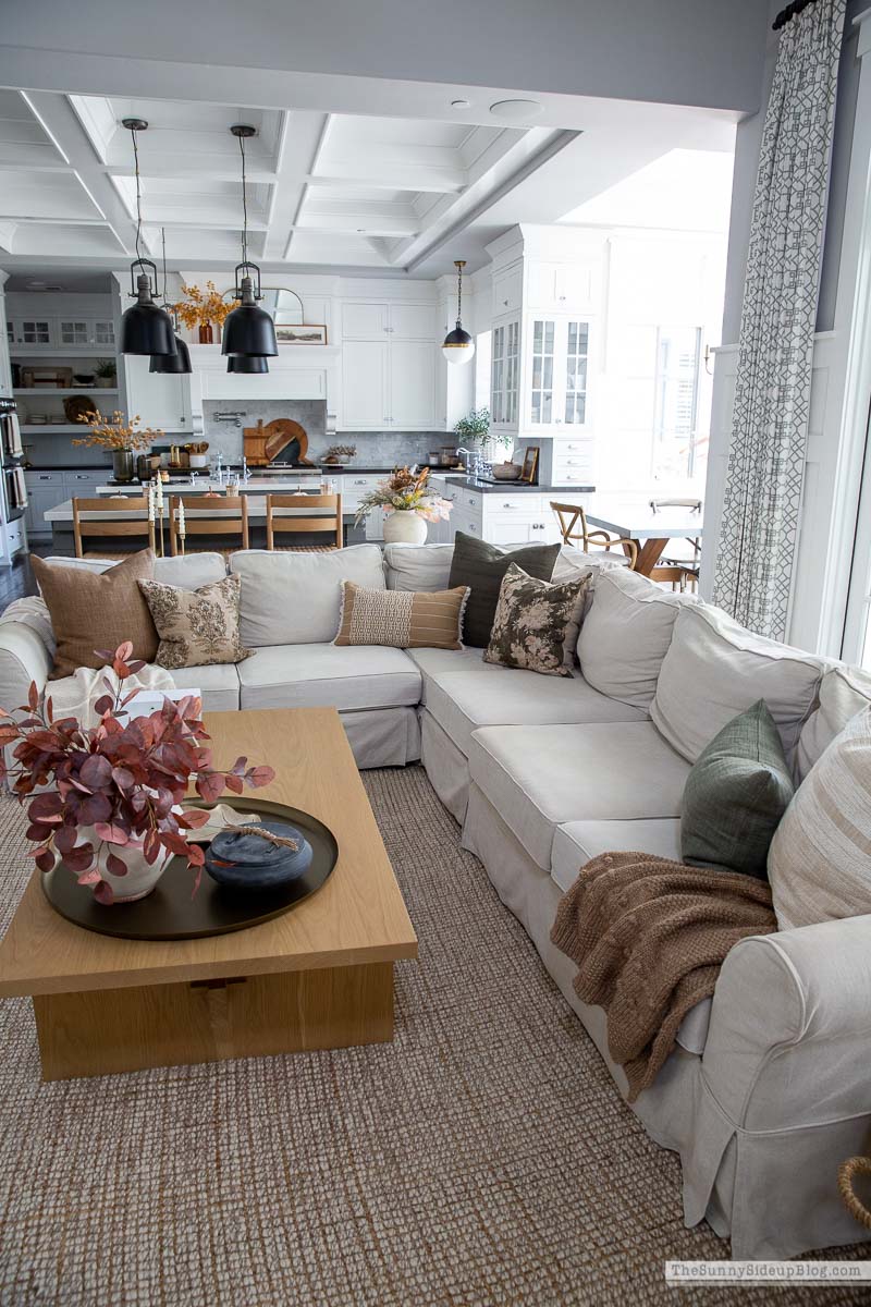 Fall Pillows (Sunny Lifestyles)