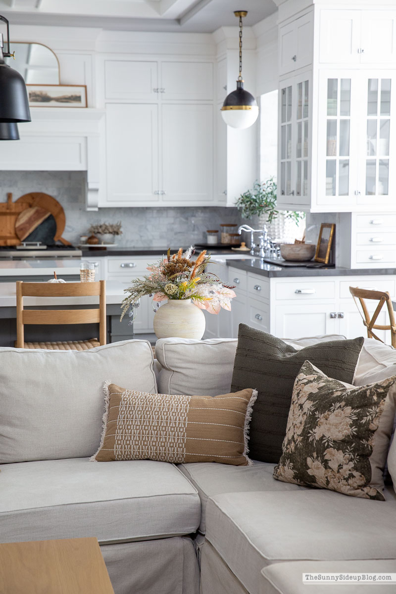 Fall Pillows (Sunny Lifestyles)