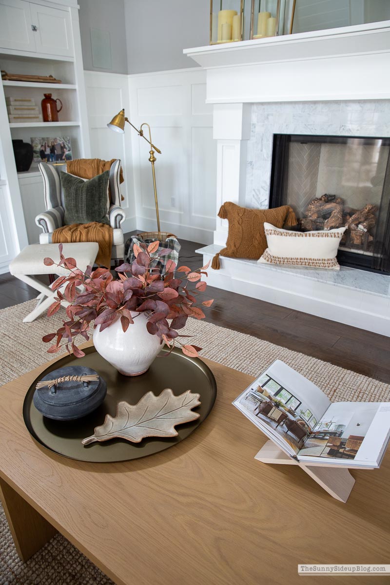 Fall Pillows (Sunny Lifestyles)