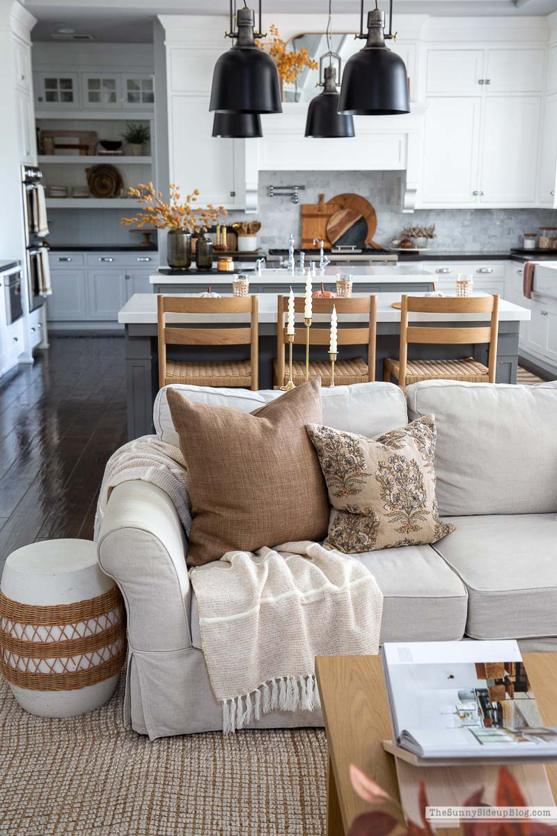 Fall Pillows (Sunny Lifestyles)