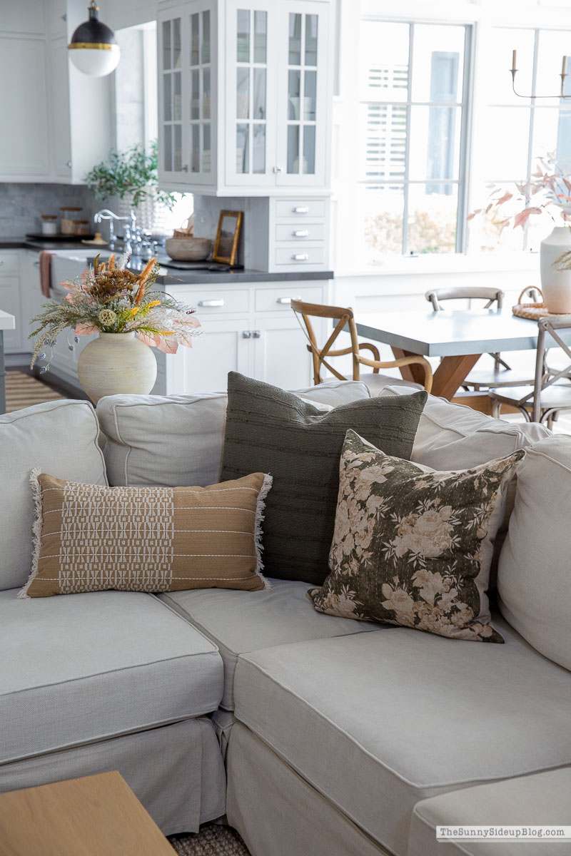 Fall Pillows (Sunny Lifestyles)