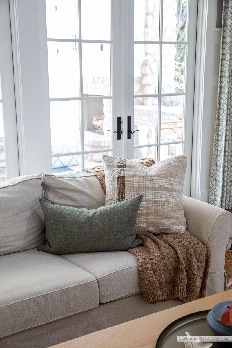 Fall Pillows (Sunny Lifestyles)