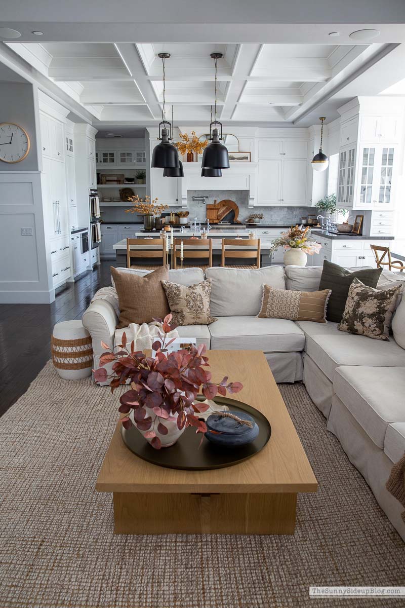 Fall Pillows (Sunny Lifestyles)