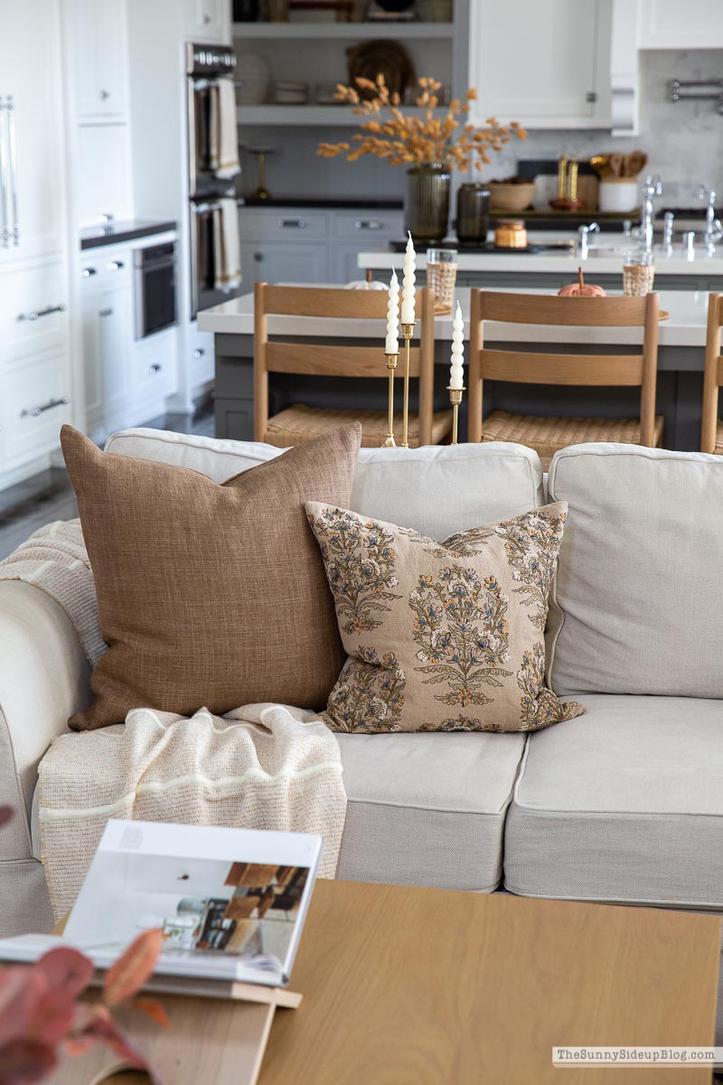 Fall Pillows (Sunny Lifestyles)