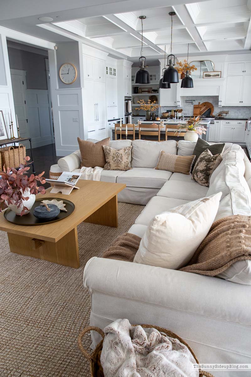 Fall Pillows (Sunny Lifestyles)