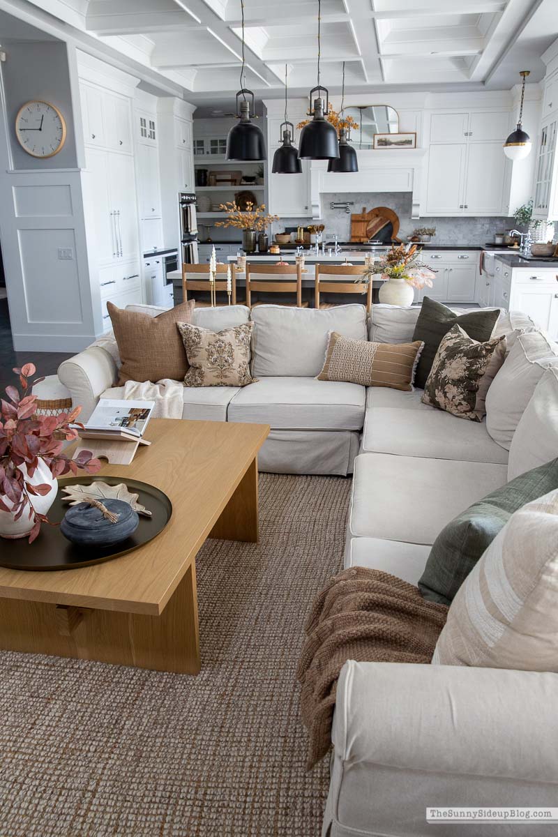 Fall Pillows (Sunny Lifestyles)