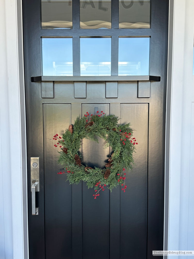 Holiday Favorites (Sunny Lifestyles)