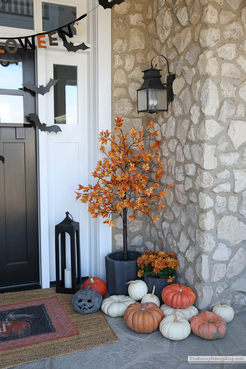 Deals, porch, fall fun and LTK (Sunny Lifestyles)
