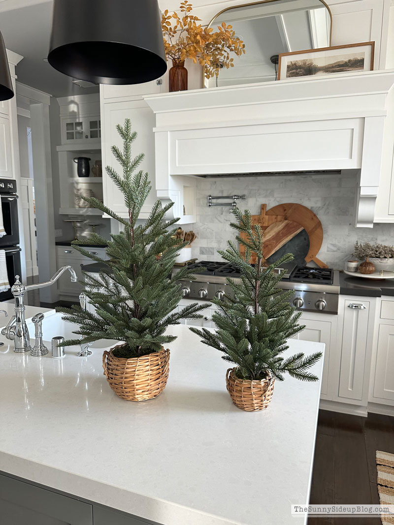 Wreaths, Trees and other holiday favorites (Sunny Lifestyles)