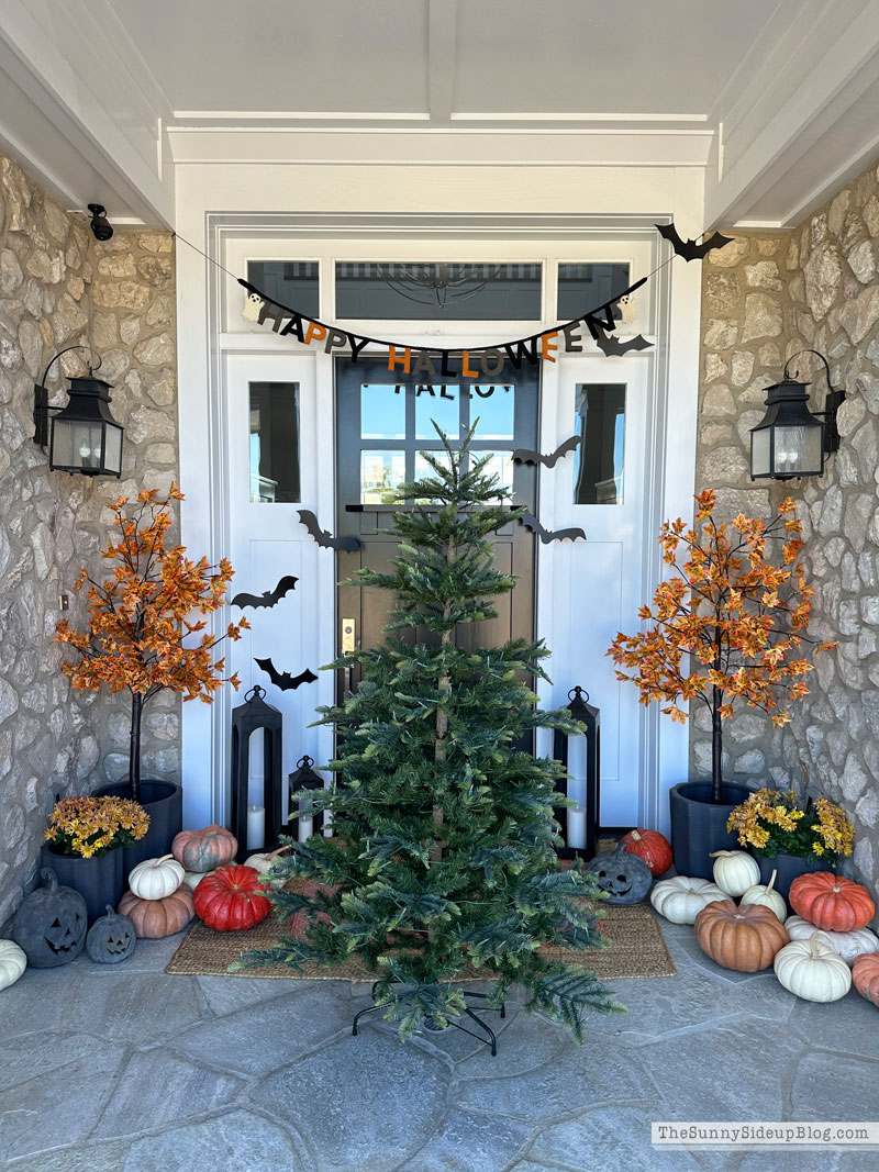 Wreaths, Trees and other holiday favorites (Sunny Lifestyles)