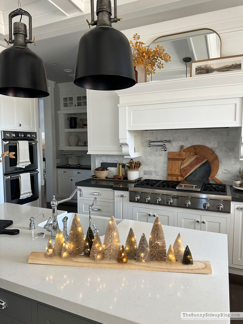 Wreaths, Trees and other holiday favorites (Sunny Lifestyles)