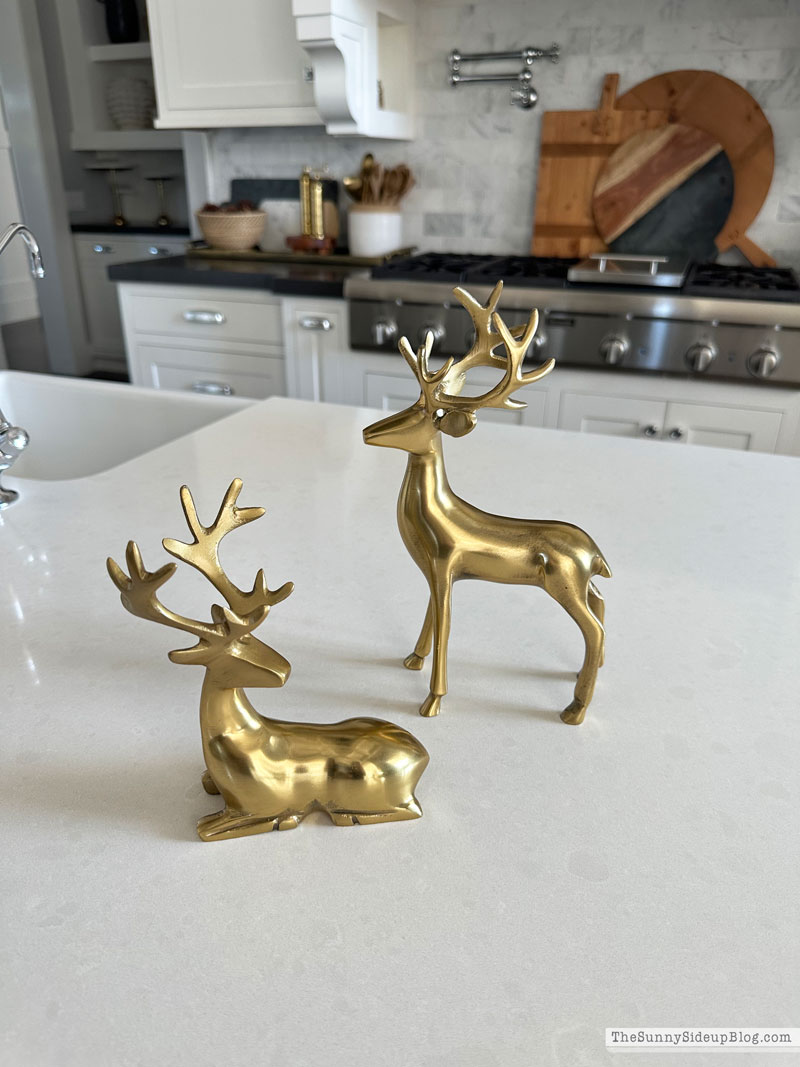 Wreaths, Trees and other holiday favorites (Sunny Lifestyles)