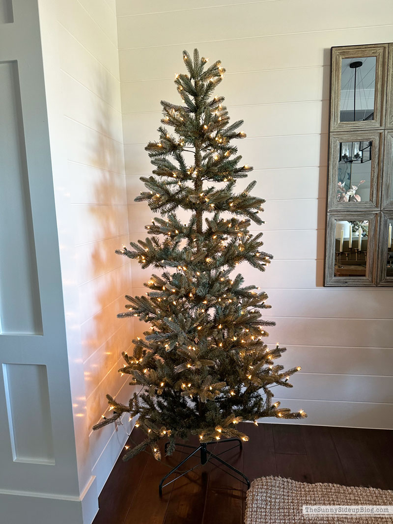 Wreaths, Trees and other holiday favorites (Sunny Lifestyles)