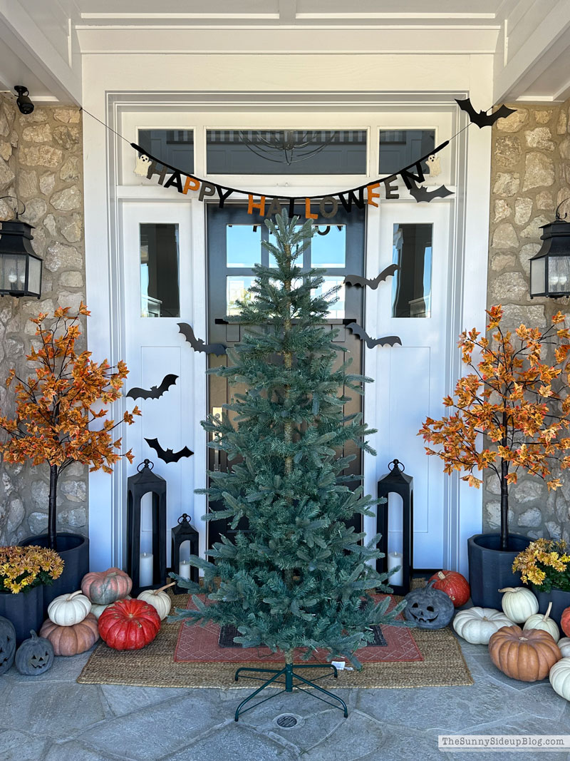 Wreaths, Trees and other holiday favorites (Sunny Lifestyles)