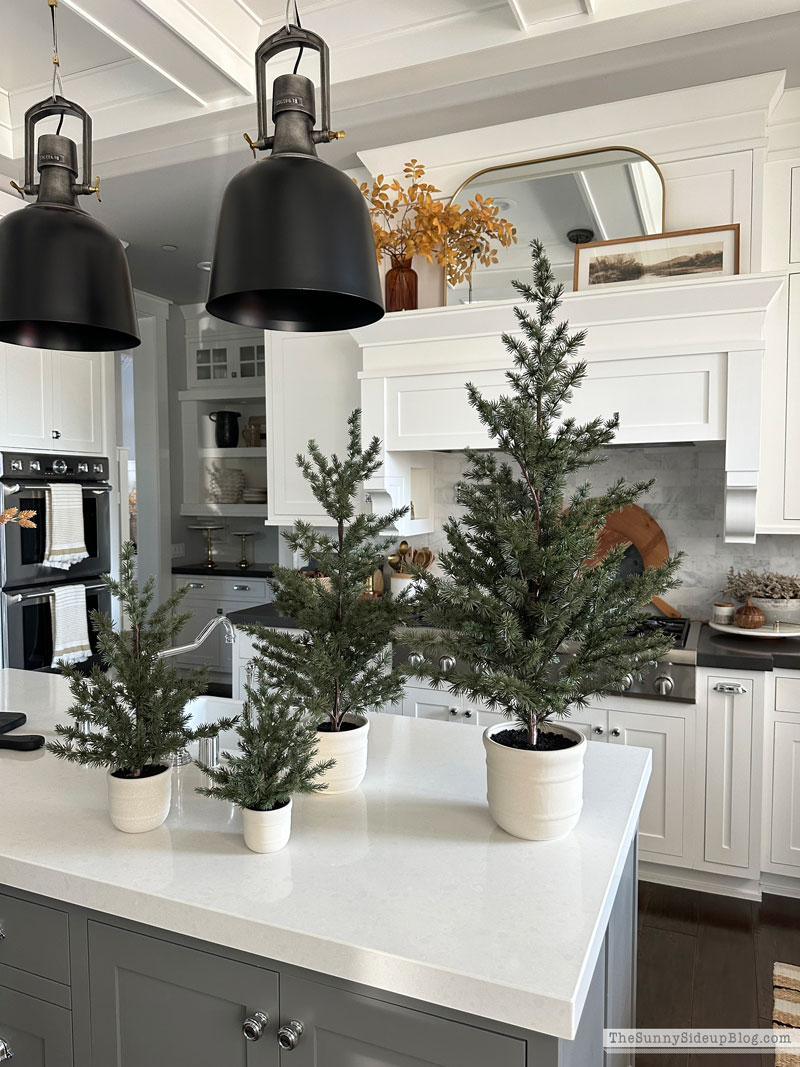 Wreaths, Trees and other holiday favorites (Sunny Lifestyles)