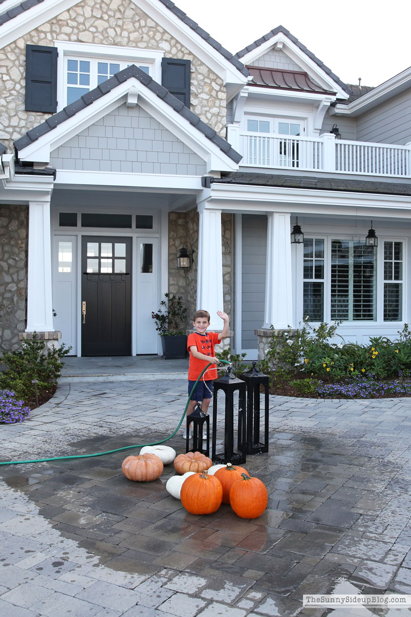 Deals, fall fun and LTK (Sunny Lifestyles)