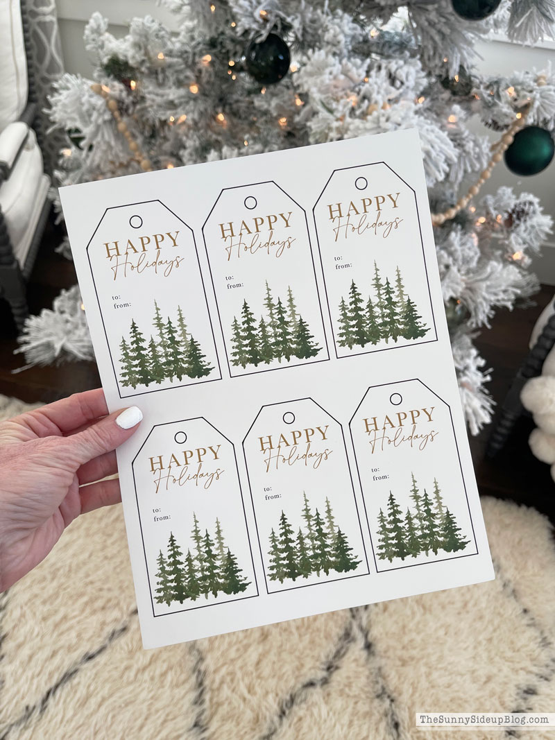 Holiday Gift Ideas (Sunny Lifestyles)