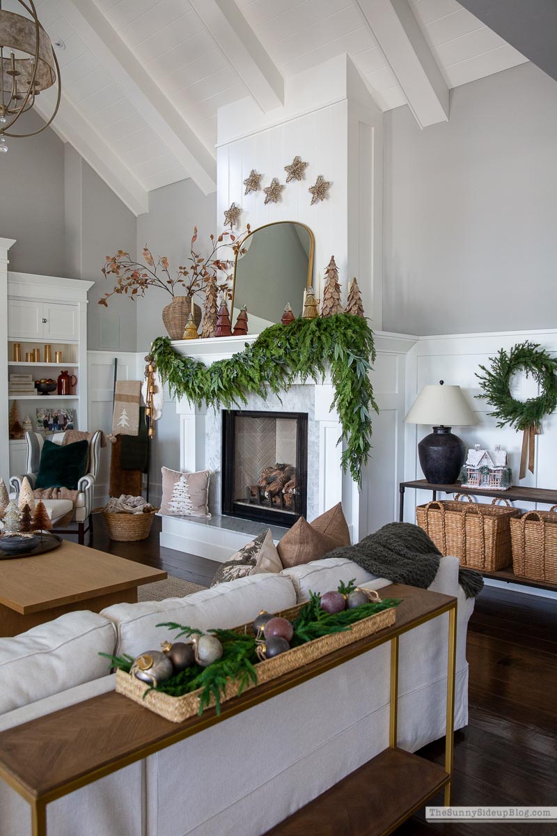Christmas Family Room (Sunny Lifestyles)