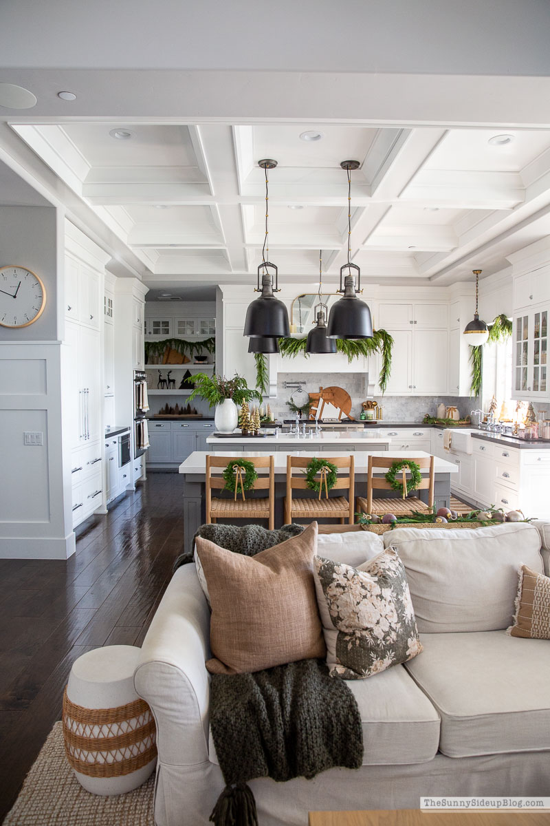 Christmas Family Room (Sunny Lifestyles)
